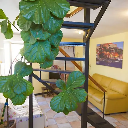 Apartment Casa Celestino *
